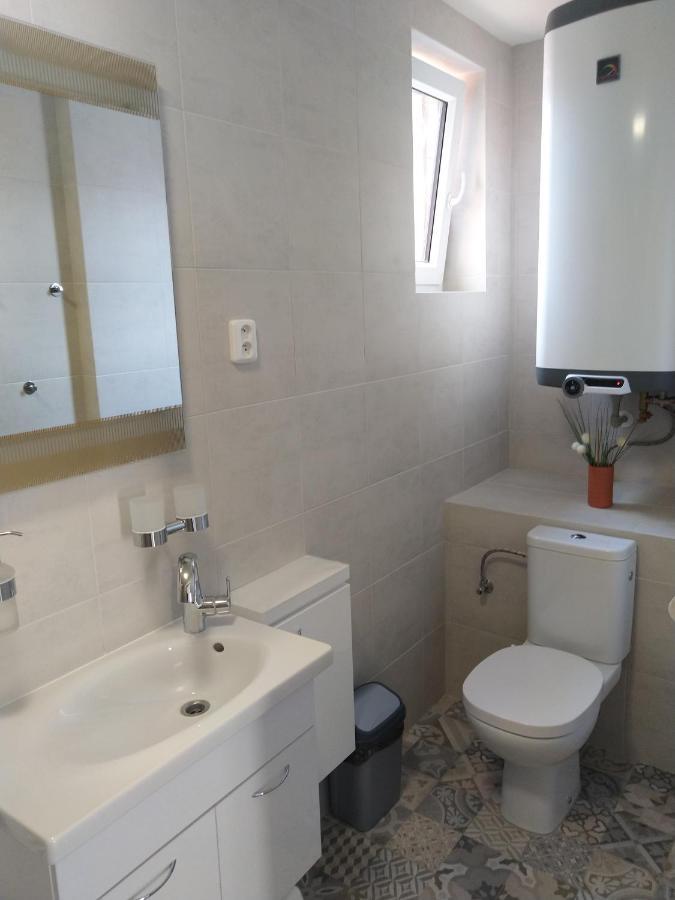 Alisa Apartments Kostomlaty nad Labem المظهر الخارجي الصورة